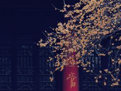 -灵谷景区