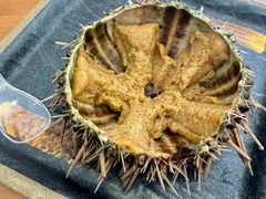 -海胆小馆(东北水饺·春柳店)