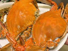 清蒸梭蟹-开海·红岛海鲜虾水饺(石老人店)