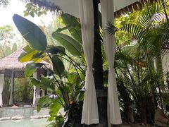 -碧桂园润杨溪谷温泉酒店