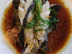 清蒸石斑鱼-覃记海鲜美食餐厅