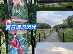 -映月湖公园