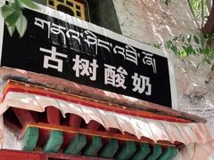 门面-古树酸奶(八廓南街店)