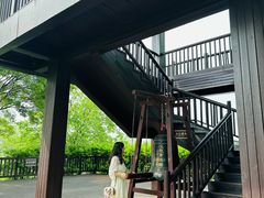 -长兴太湖图影湿地文化园