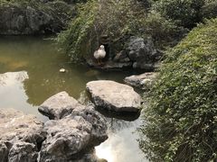 -祝家花園(伯渎港店)