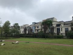-两河城市森林公园