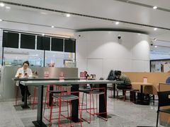 -麦当劳(北京大兴机场二层国内到达(安检外)店)