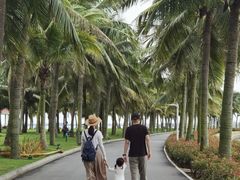 -霞山观海长廊