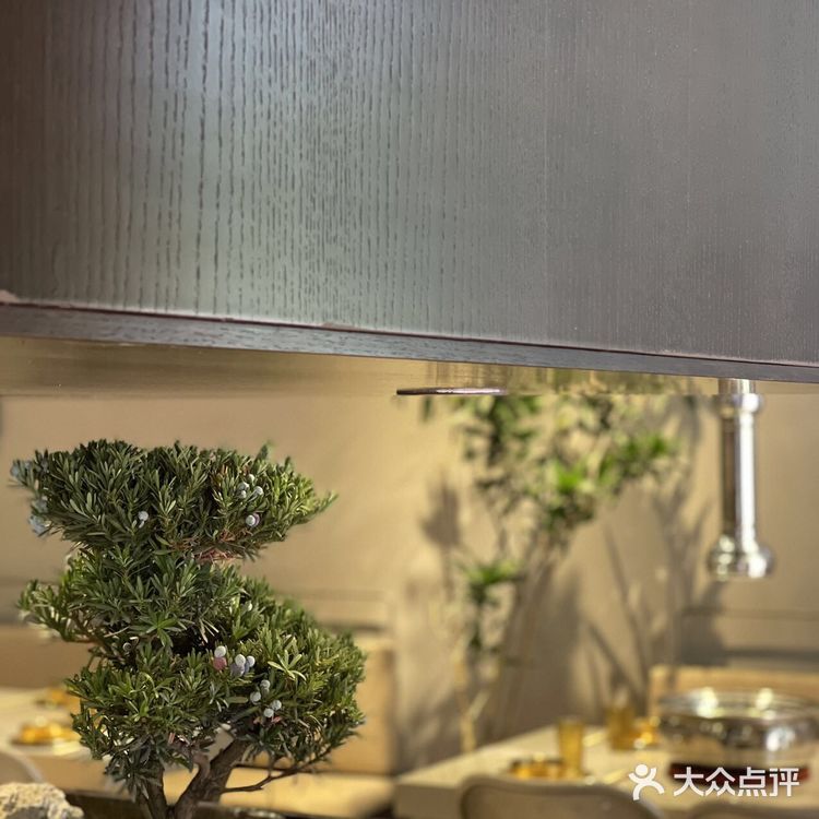 我给大家炫一瓶|东北烤肉天花板|松树盆景是真的