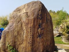 -洛龙公园