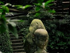 -凤栖山