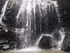 -藏龙百瀑风景区