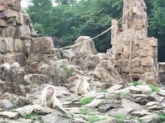 -合肥野生动物园