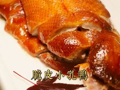 -圆苑(金茂店)