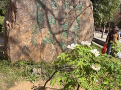 -洛阳市隋唐城遗址植物园