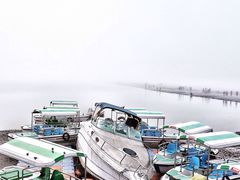 -碧海金沙