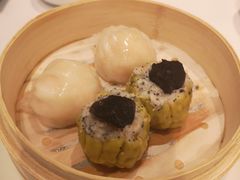 -伯衡55·吉品轩(乌鲁木齐南路店)