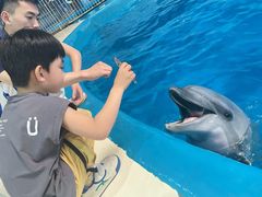 -泉城欧乐堡海洋极地世界