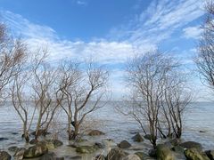 -上海吴淞炮台湾国家湿地公园
