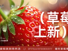 -悠然湯·汗蒸汤泉会馆