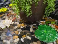 -芳朵美容养生SPA