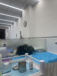 -蕾特恩祛痘•皮肤管理