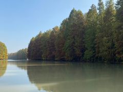 -上海海湾国家森林公园