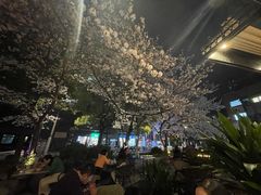 -玛格萝妮比萨屋(四平店)
