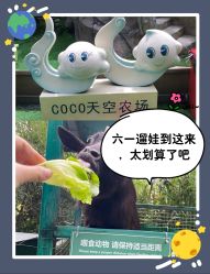 -可可天空农场(中大店)