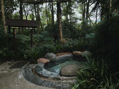 -青城道汤池