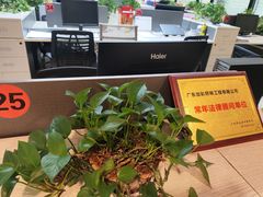 -广东泽正律师事务所