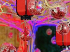 -上海圣淘沙万怡酒店