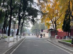 -四川大学(望江校区)