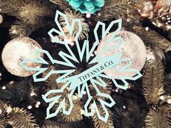 -Tiffany & Co.蒂芙尼
(杭州万象城店)