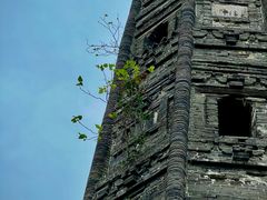 -上海佘山国家森林公园天马山园