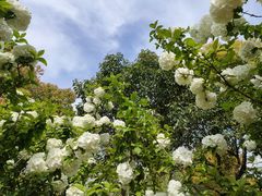 -杭州师范大学(下沙校区)