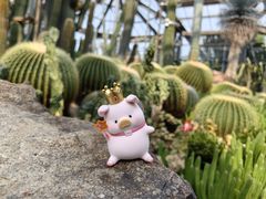 -中国科学院华南植物园