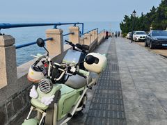 -燕儿岛山公园