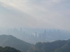 -大金鹰园
