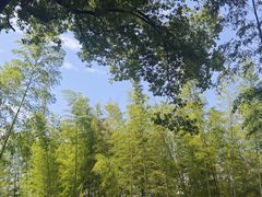 -同里国家湿地公园