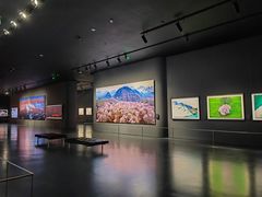 -罗红摄影艺术馆