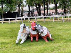 -太阳岛度假酒店