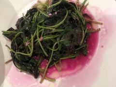 清炒苋菜-五环京府菜