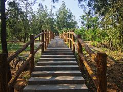 -白水寺森林公园