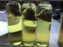 -我茶人文茶馆
