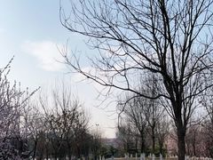 -太阳宫公园