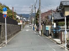 -豆政(金閣寺境内売店)