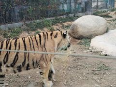 -泉州海丝野生动物世界