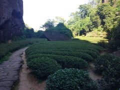 -武夷山风景名胜区-虎啸岩