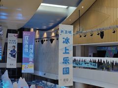 -冰上乐园(大卫城店)